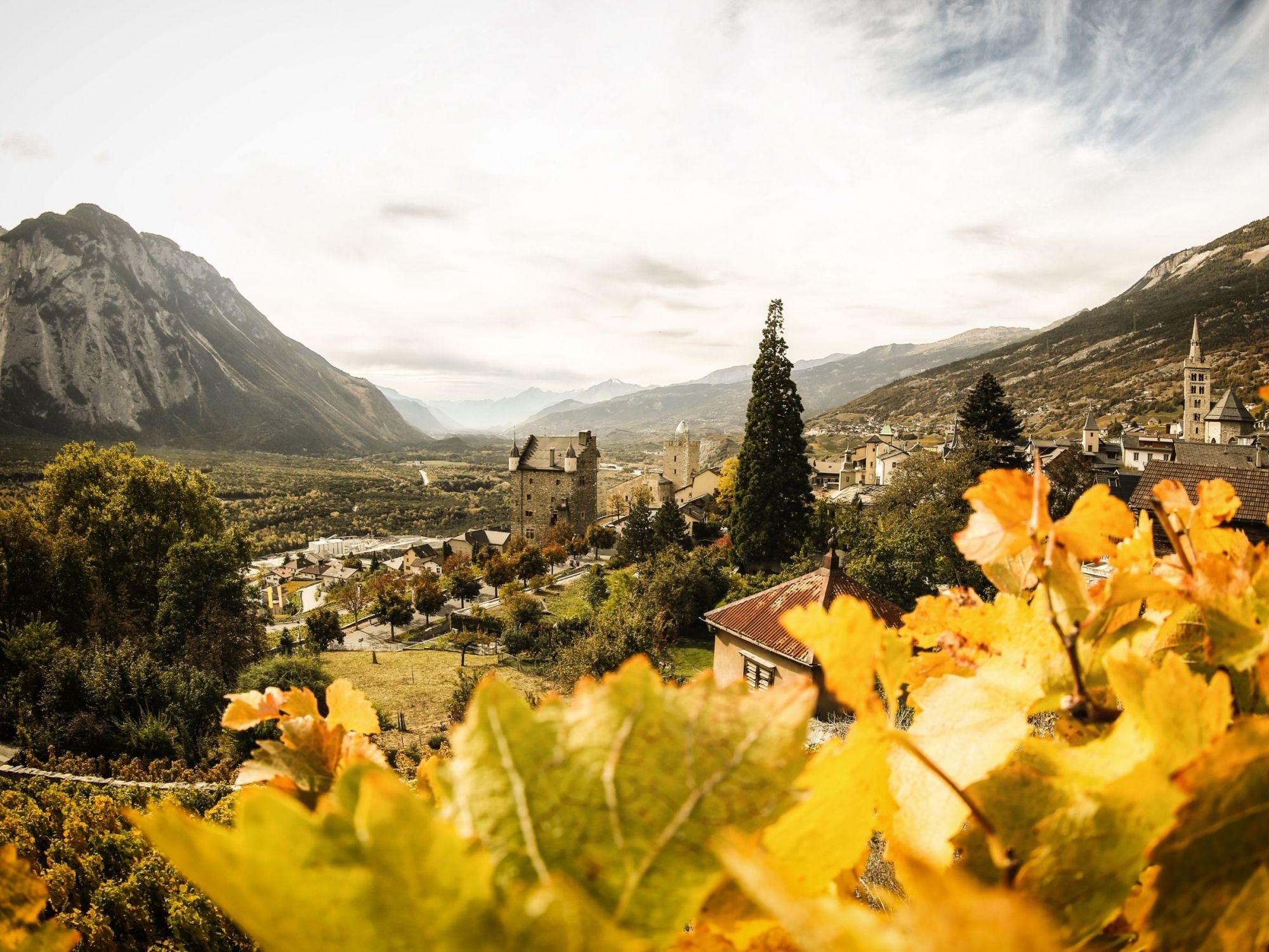 가을 잎사귀와 포도밭이 있는 Pfyn Finges 자연공원