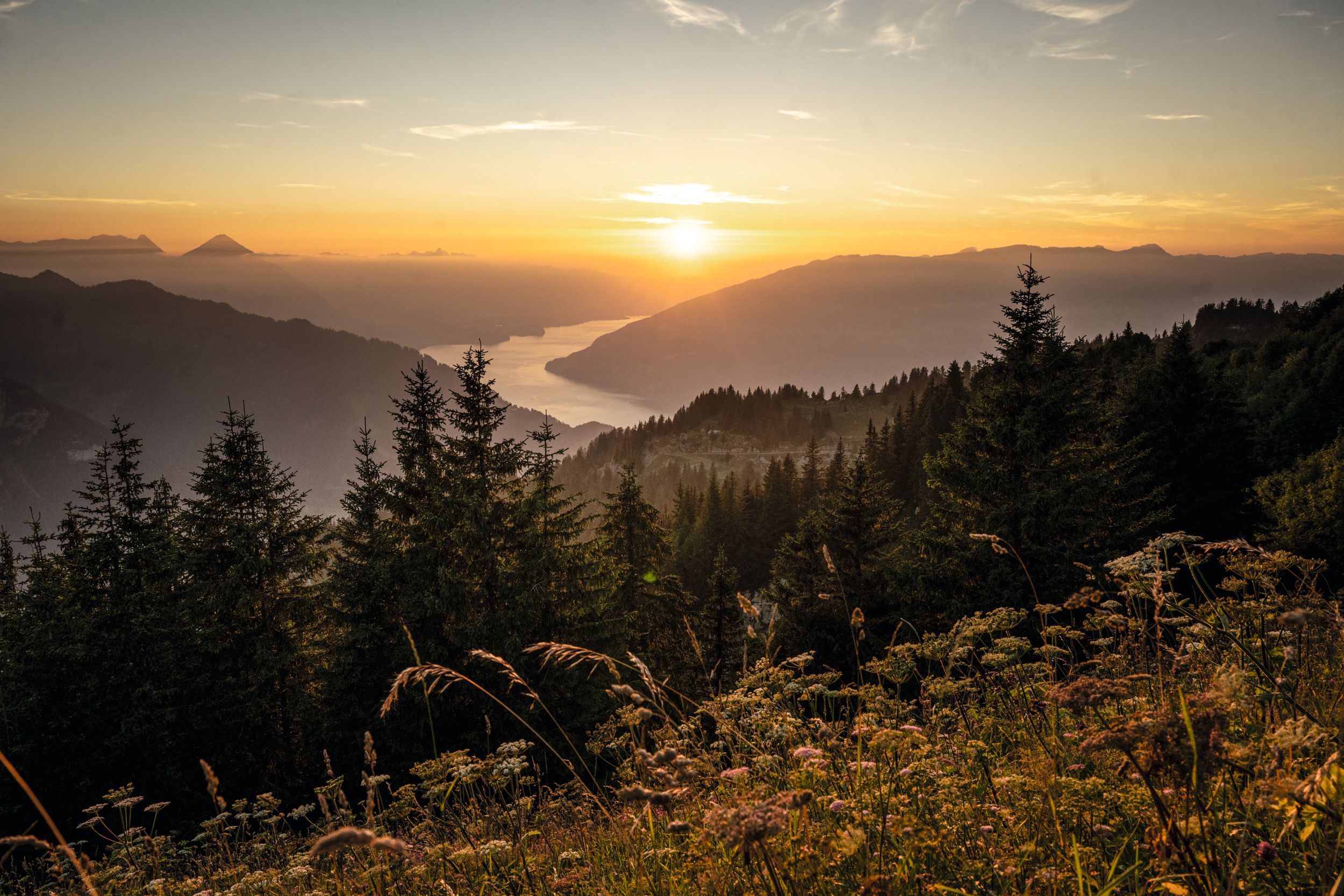 Schynige Platte : coucher de soleil à couper le souffle sur les Alpes suisses, expérience de la nature au crépuscule