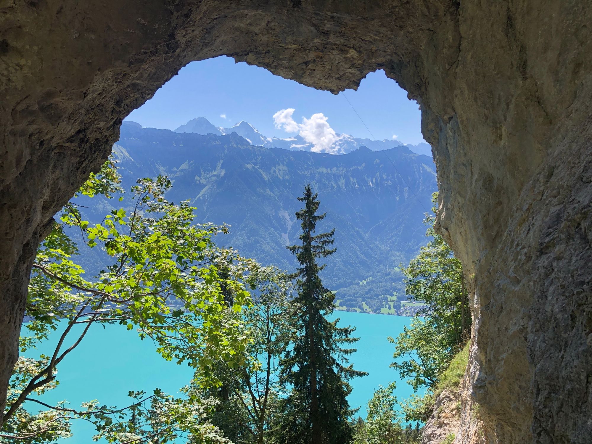 Pemandangan ke tasik berwarna turku berhadapan dengan gunung dan pokok-pokok.