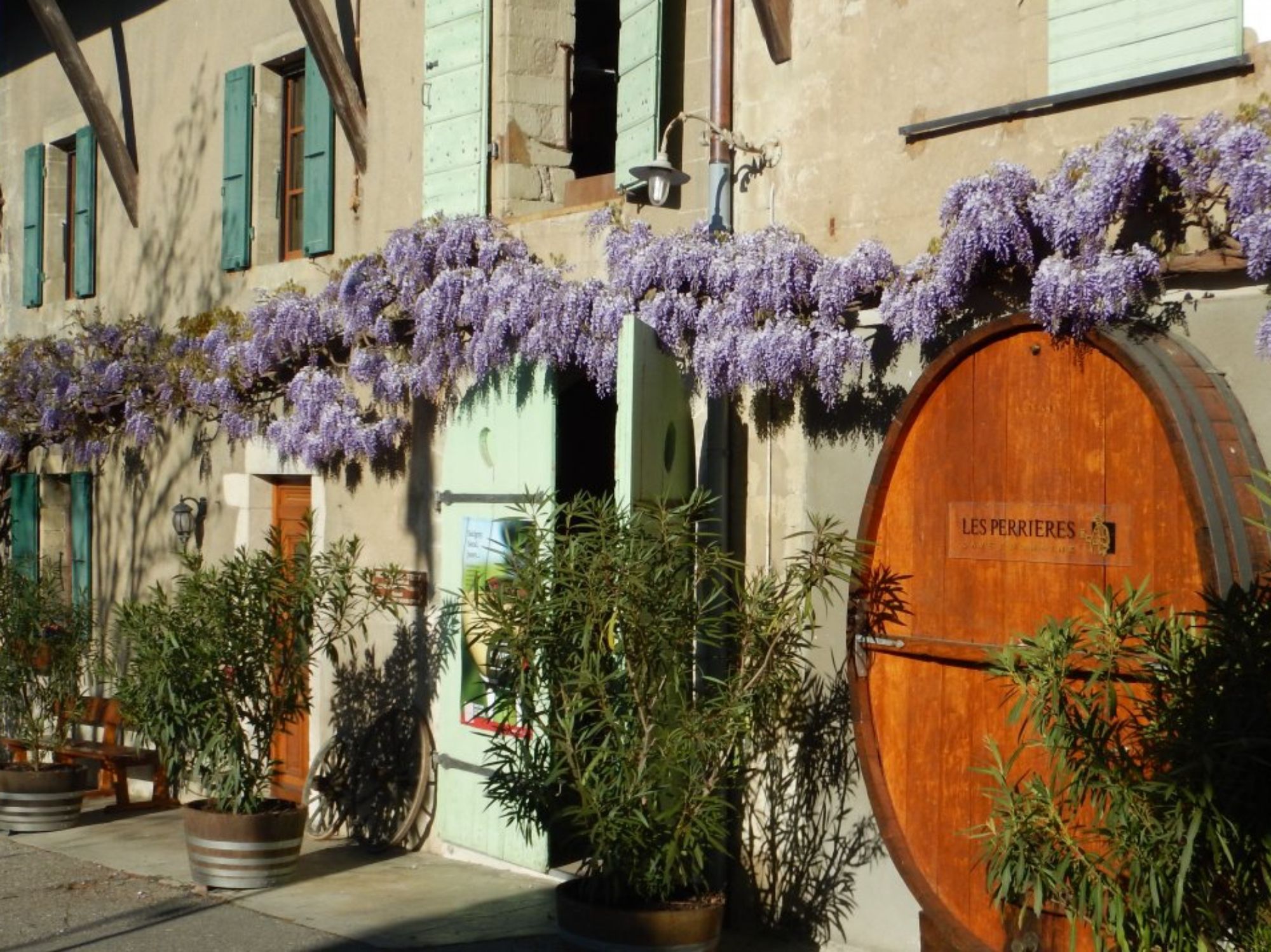 E-Bike Tour: ontdek de wijnregio en geniet van het schilderachtige landschap bij de wijnproeverij