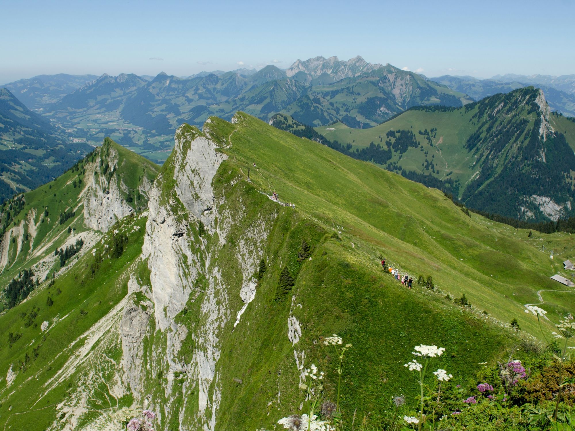 Rochers de Naye: impressive view of the Alps and green meadows in the surroundings.