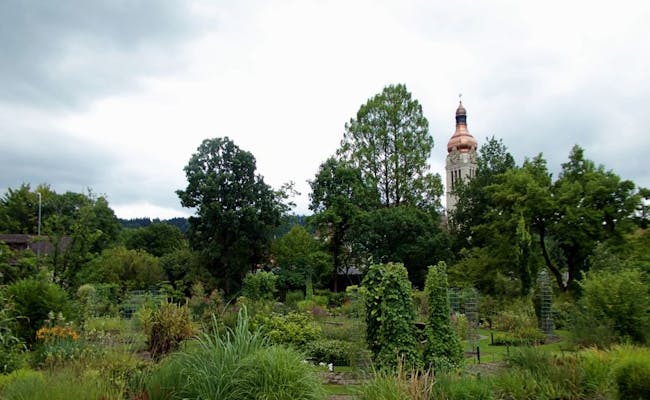 Giardino Botanico di San Gallo con piante e giorno d'estate