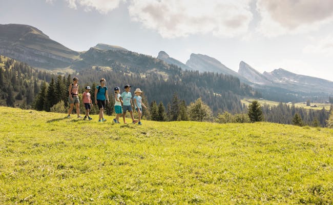 Paseo en Toggenburg con grupo familiar y montañas