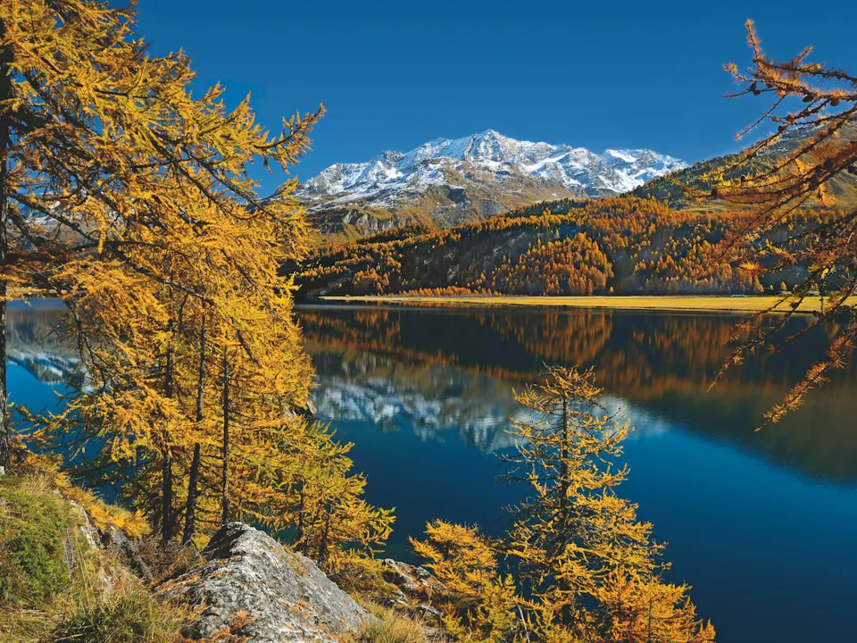 Silvaplanersee