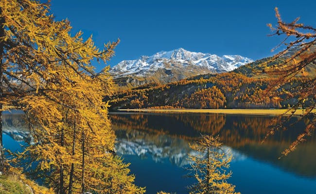 Lake Silvaplana in autumn (Photo: Switzerland Tourism Stefan Gruenig)