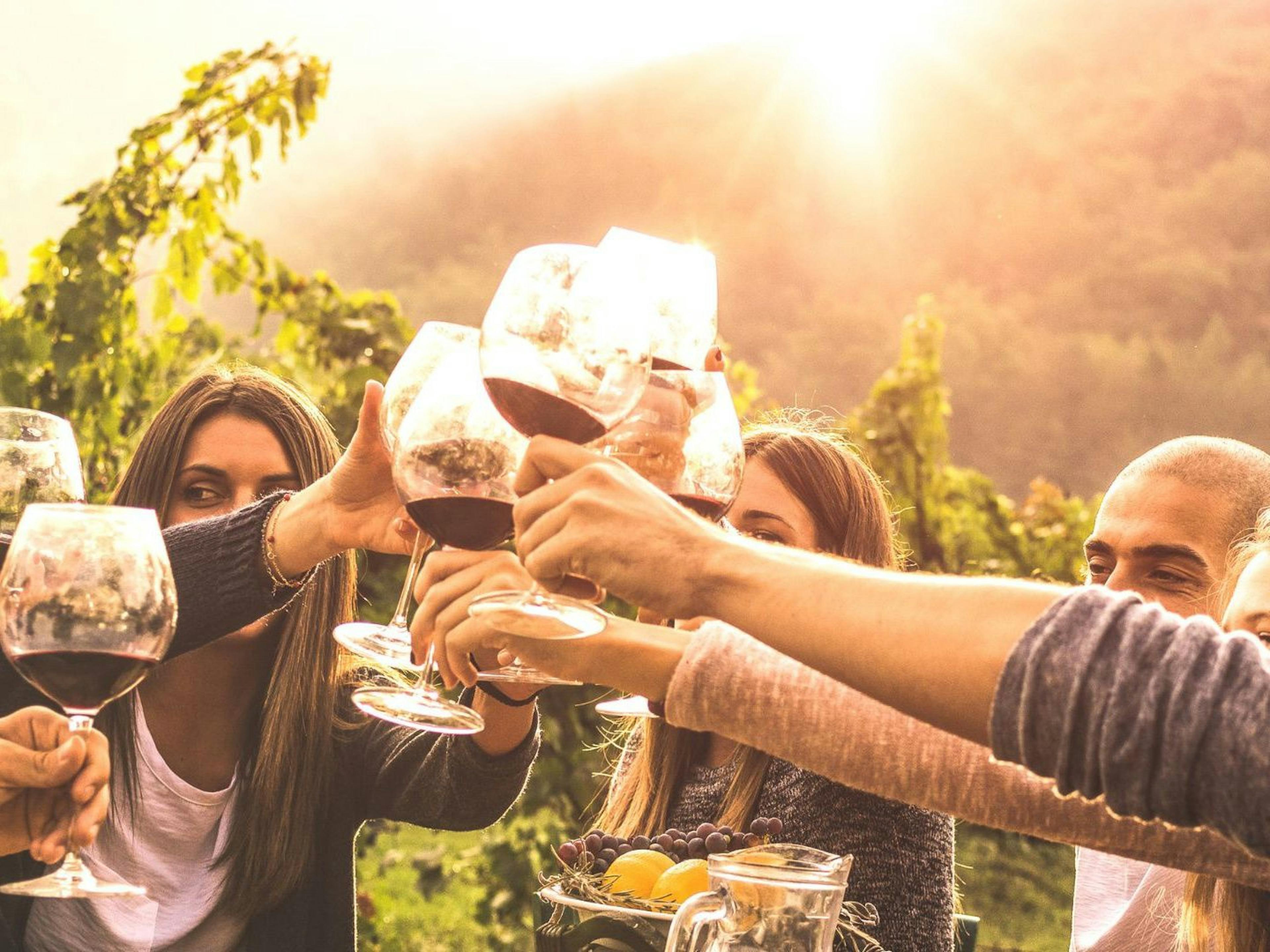 Tour en E-Bike: Disfruta de una cata de vinos en el pintoresco Renania-Palatinado al atardecer.