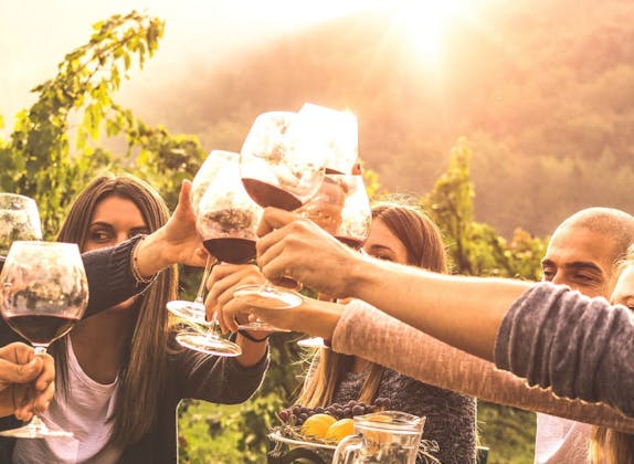 E-Bike Tour: Profite de la dégustation de vins dans le pittoresque Rheinland-Pfalz au coucher du soleil.