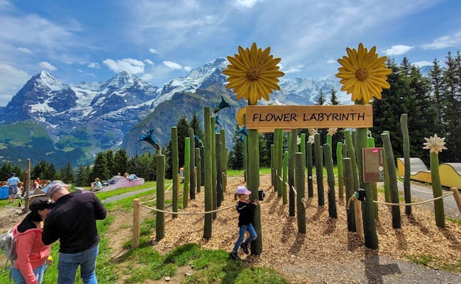Labirinto dei Fiori Allmendhubel con la famiglia sullo sfondo.