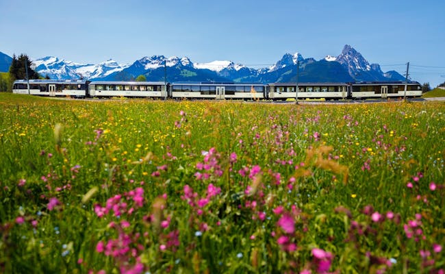 Linea Golden Pass (Foto: Swiss Travel System)