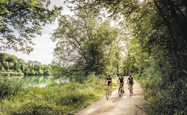 Paseo en bicicleta en Brugg a lo largo del río con ciclistas en la naturaleza.