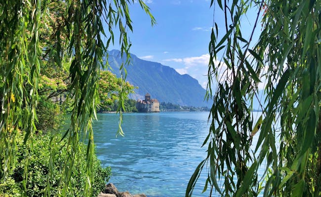 Castelul Chillon de pe Lacul Geneva, înconjurat de natură și munți. Bucură-te de peisajul impresionant al malurilor.