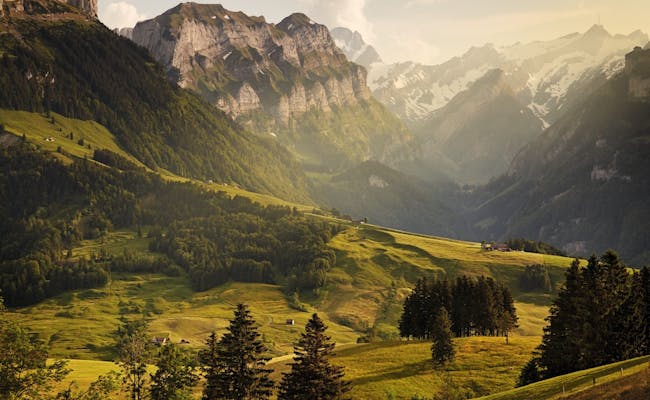 Saentisblick : Vue panoramique sur les montagnes en Suisse avec une verdure luxuriante en été.