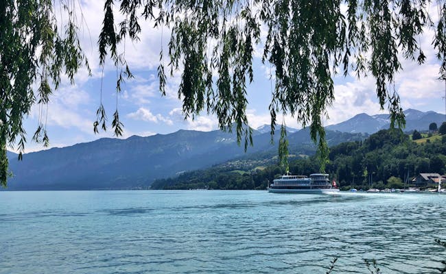 Nave sul Lago di Thun con gita in famiglia in estate