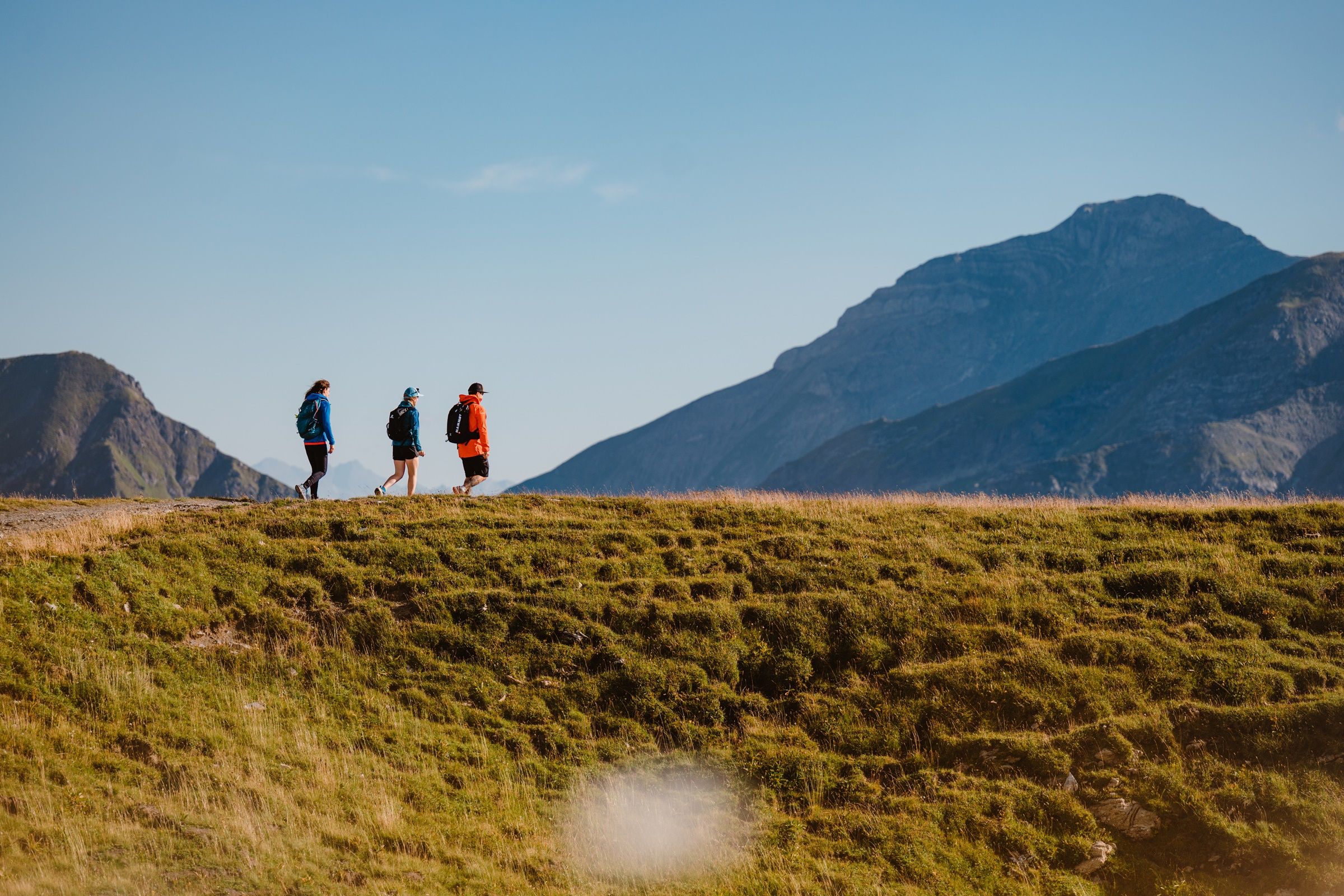 بانوراما الطهي في طريق هيهنسويغ بيزول: متجولون على الطريق المرتفع، منظر جبلي، يوم مشمس، مروج خضراء