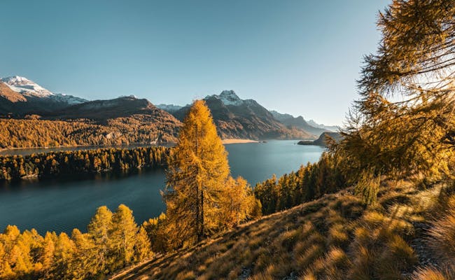 Le lac de Sils en automne (photo : Switzerland Tourism Andreas Gerth)