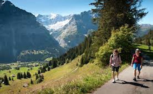 Mendaki di Wengen di kawasan Jungfrau bersama pendaki di alam hijau.