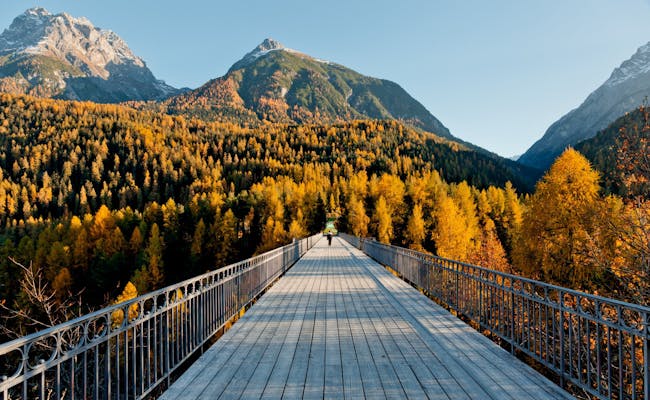 Scuol : paysage automnal avec des arbres à feuillage coloré et des montagnes en arrière-plan, idéal pour la randonnée.