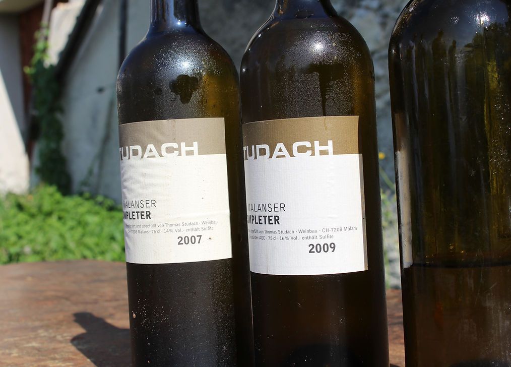 Wijn: elegante flessen tijdens een wijntour in de wijnregio, proeven, genieten, vrienden