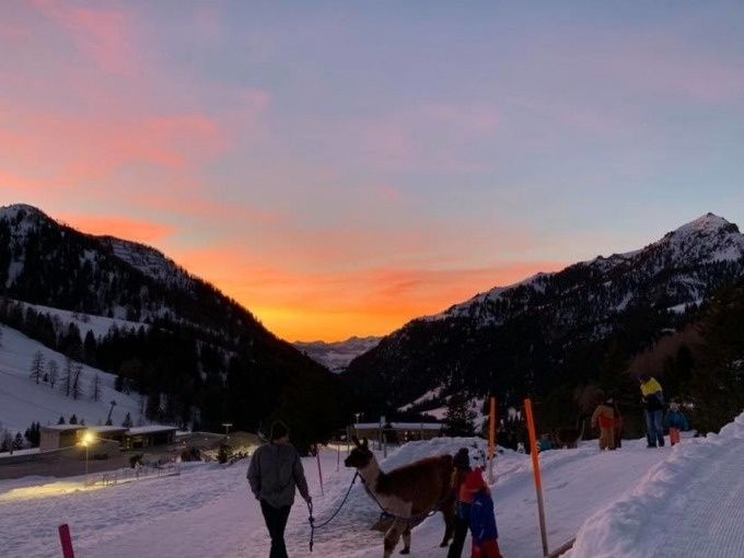 Trekking d'alpacas en hiver avec coucher de soleil et neige dans les montagnes