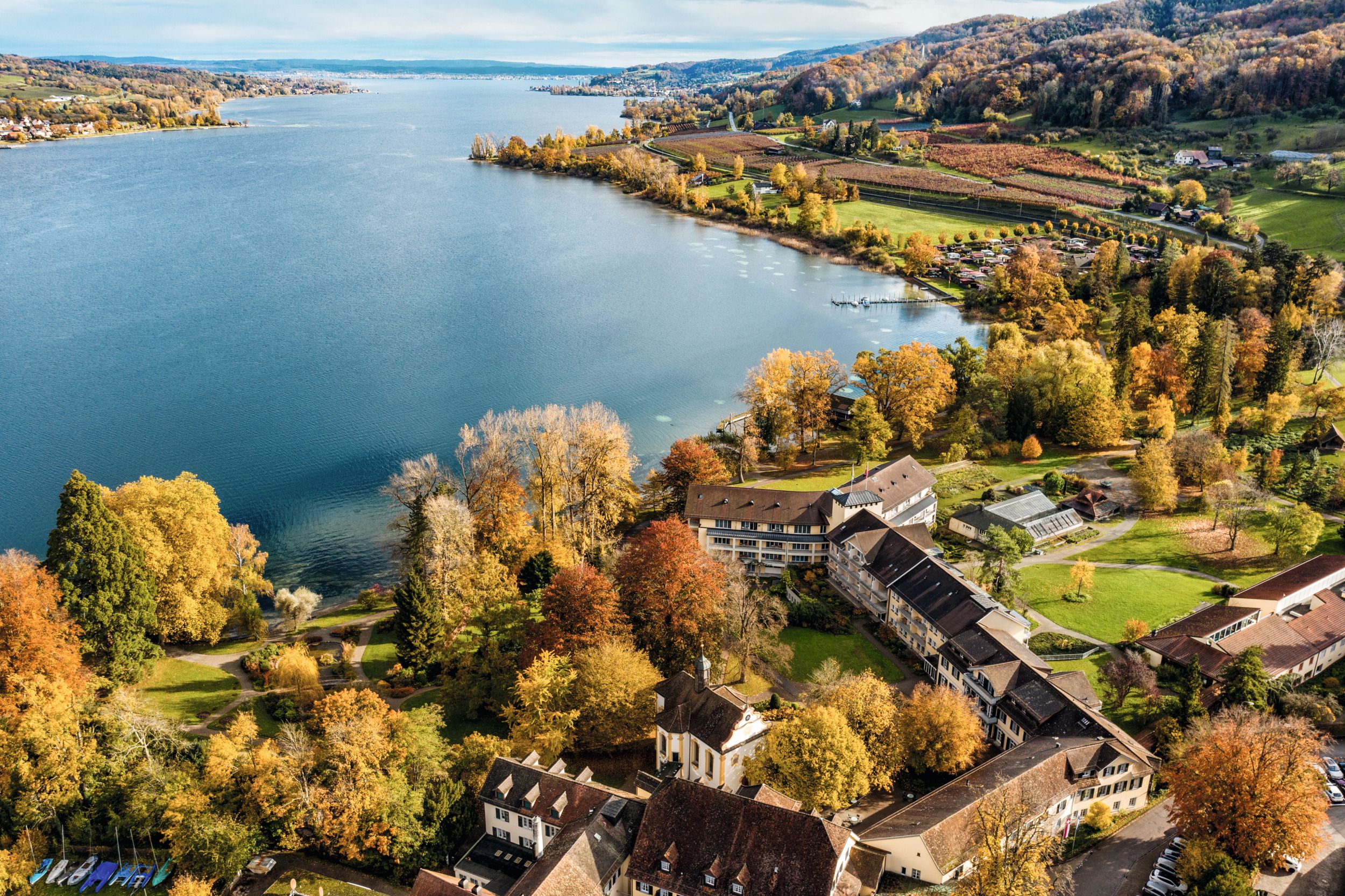 Panorama van het Bodensee met kleurrijke herfstbladeren en rustig water, ideaal voor natuurliefhebbers.