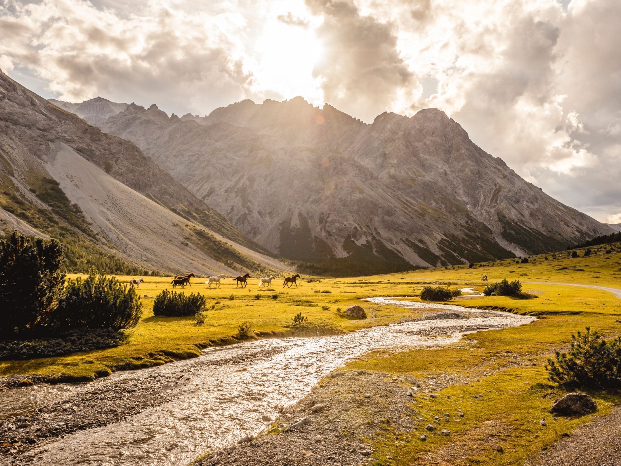 발 뮈스타이어 생물권, 강, 산, 목초지.