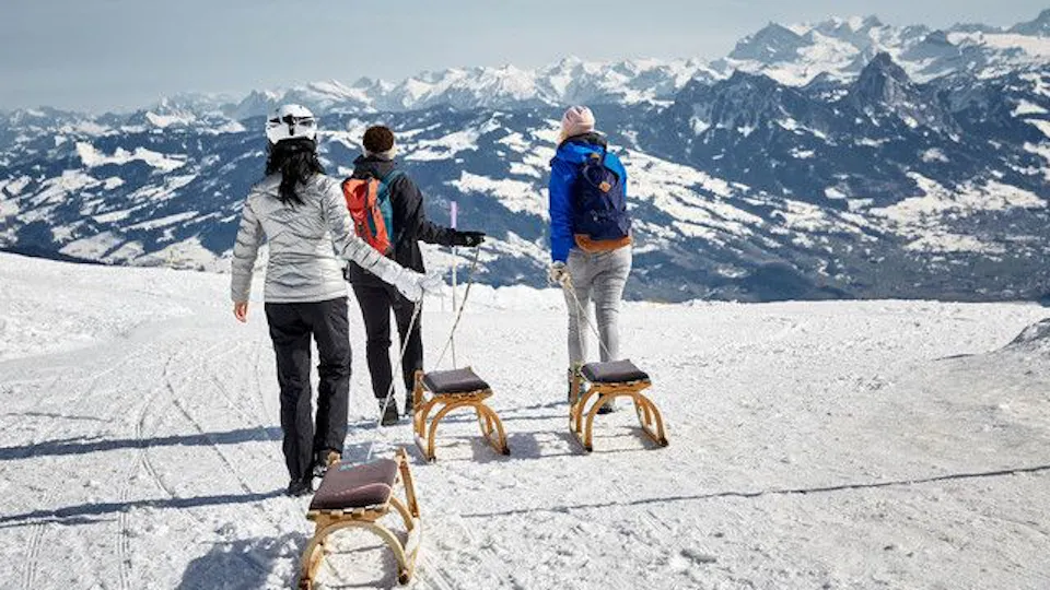 Rigi Schlitteln