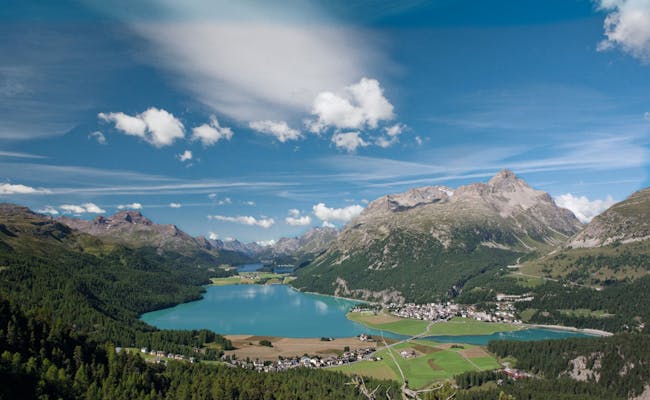 Silvaplanersee panorama with mountains, forest, and clear blue sky in Switzerland.