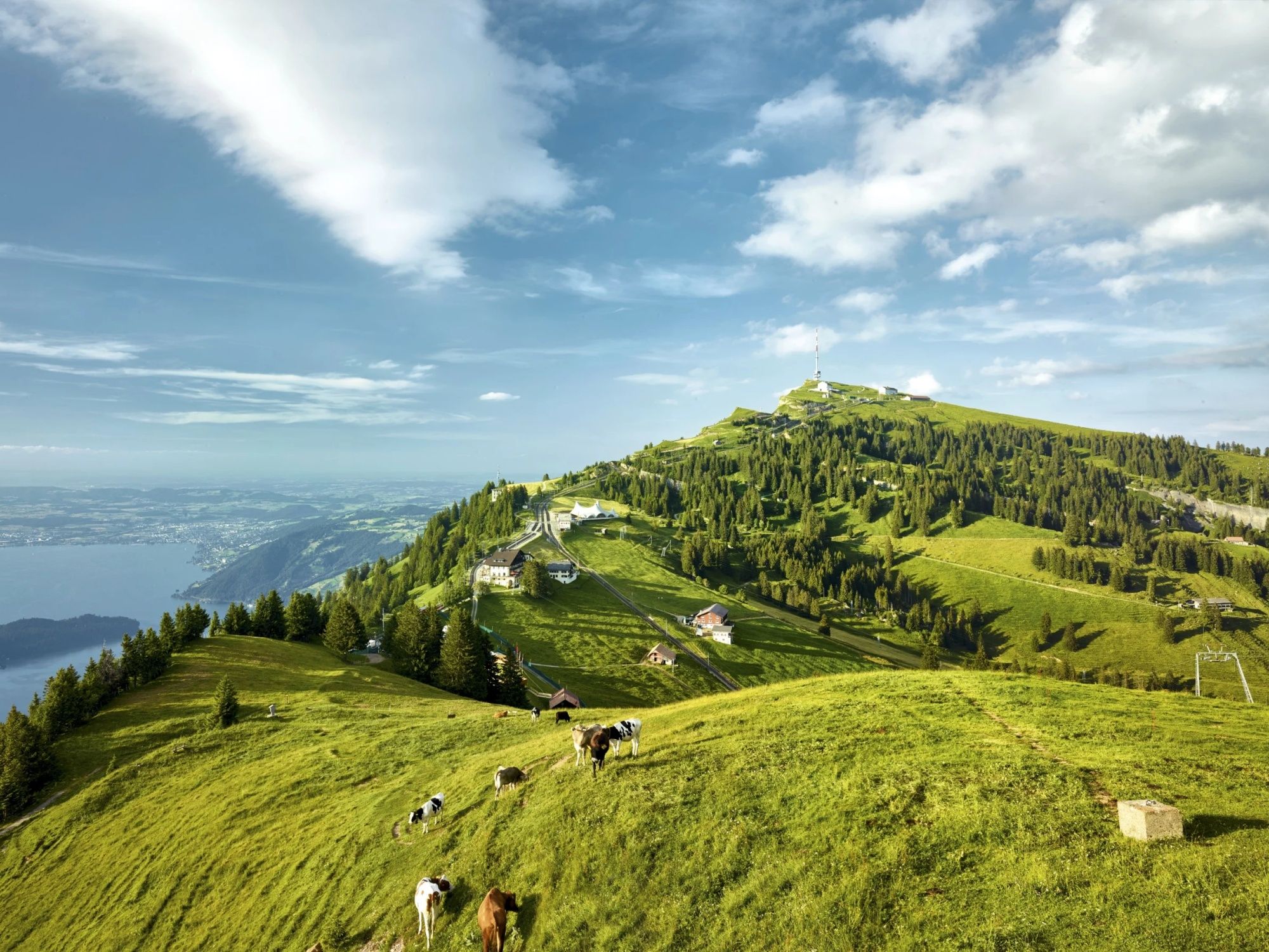 Rigi Vista: ampia visuale su prati verdi, montagne e il Lago di Lucerna in Svizzera.