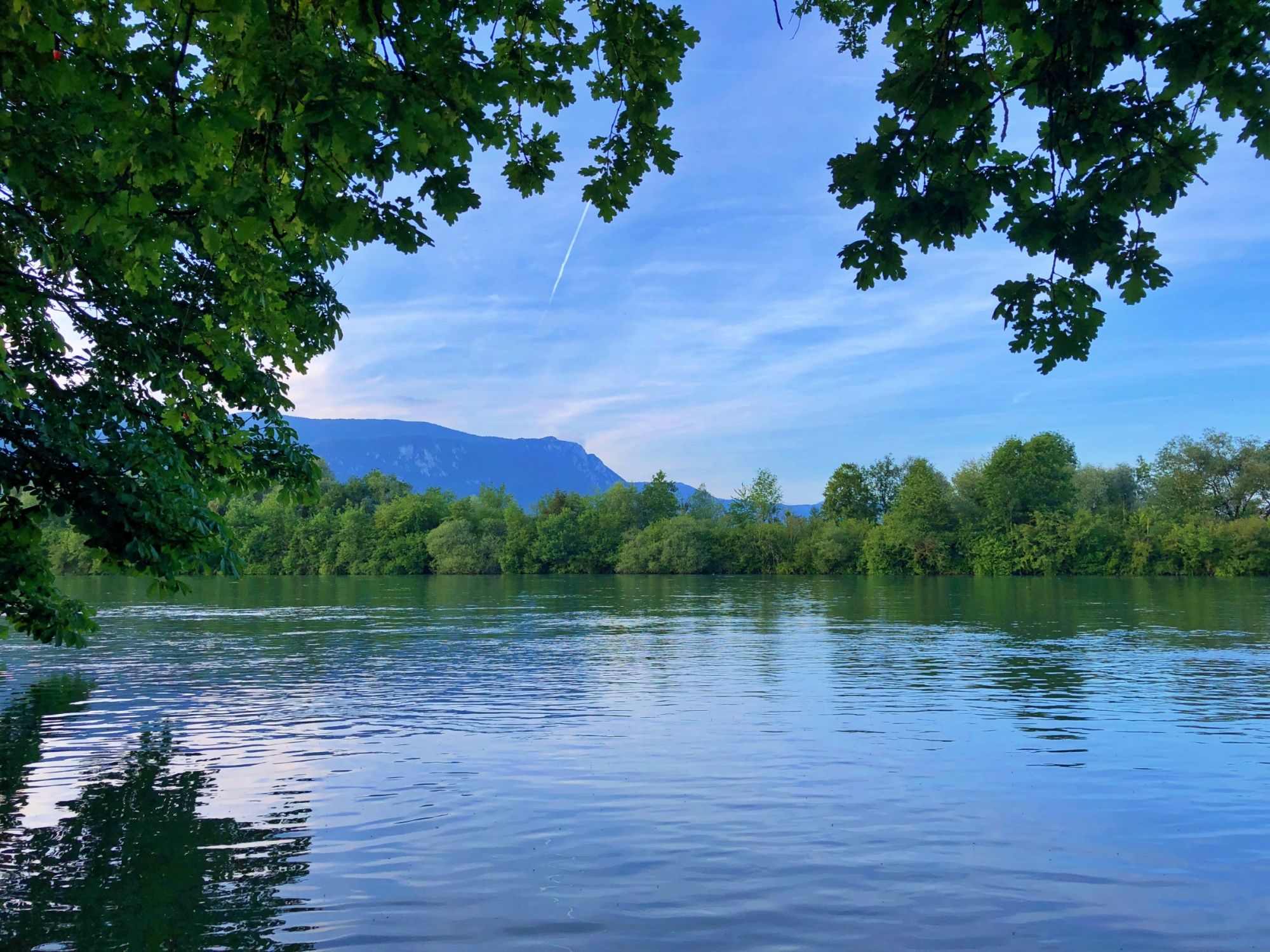 Aare in Solothurn with clear water, surrounded by trees and mountains.