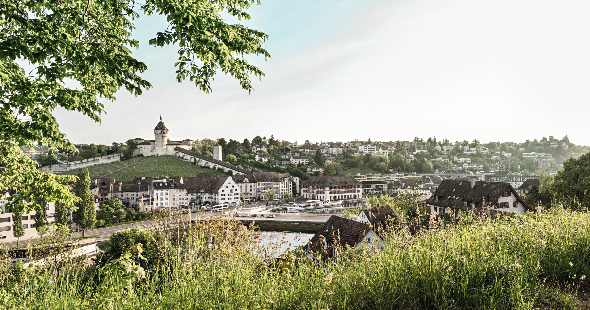 Schaffhausen: View of the historic city with vineyards and the fortress, ideal for city trips and culture enthusiasts.