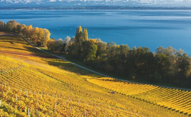 Lake Neuchâtel (Switzerland Tourism Andreas Gerth)