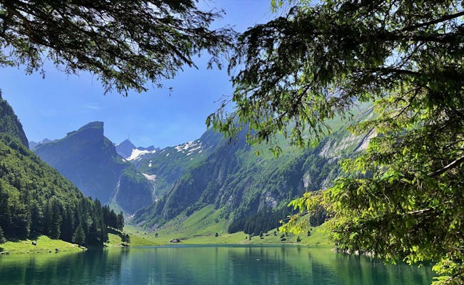 Seealpsee: picturesque mountain lake in the Alpstein, surrounded by green forests and majestic mountains.