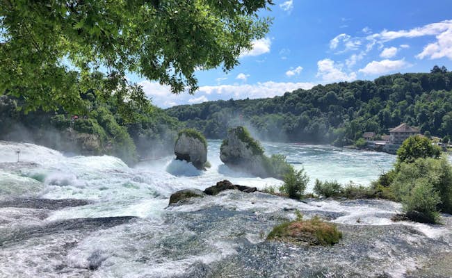 Der grösste Wasserfall Europas: der Rheinfall (Foto: Seraina Zellweger)