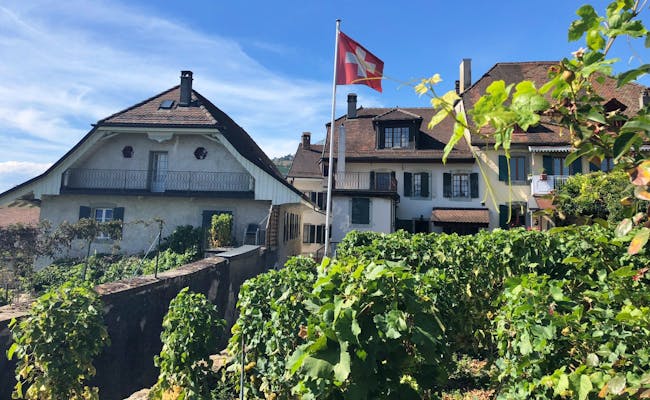 Vineyards in Lavaux (Photo: Seraina Zellweger)