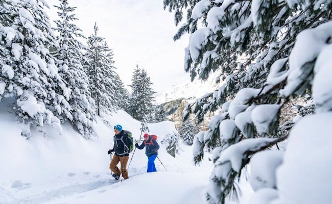 Schneeschuhlaufen im Wald (Foto: Graubünden Ferien Mattias Nutt)