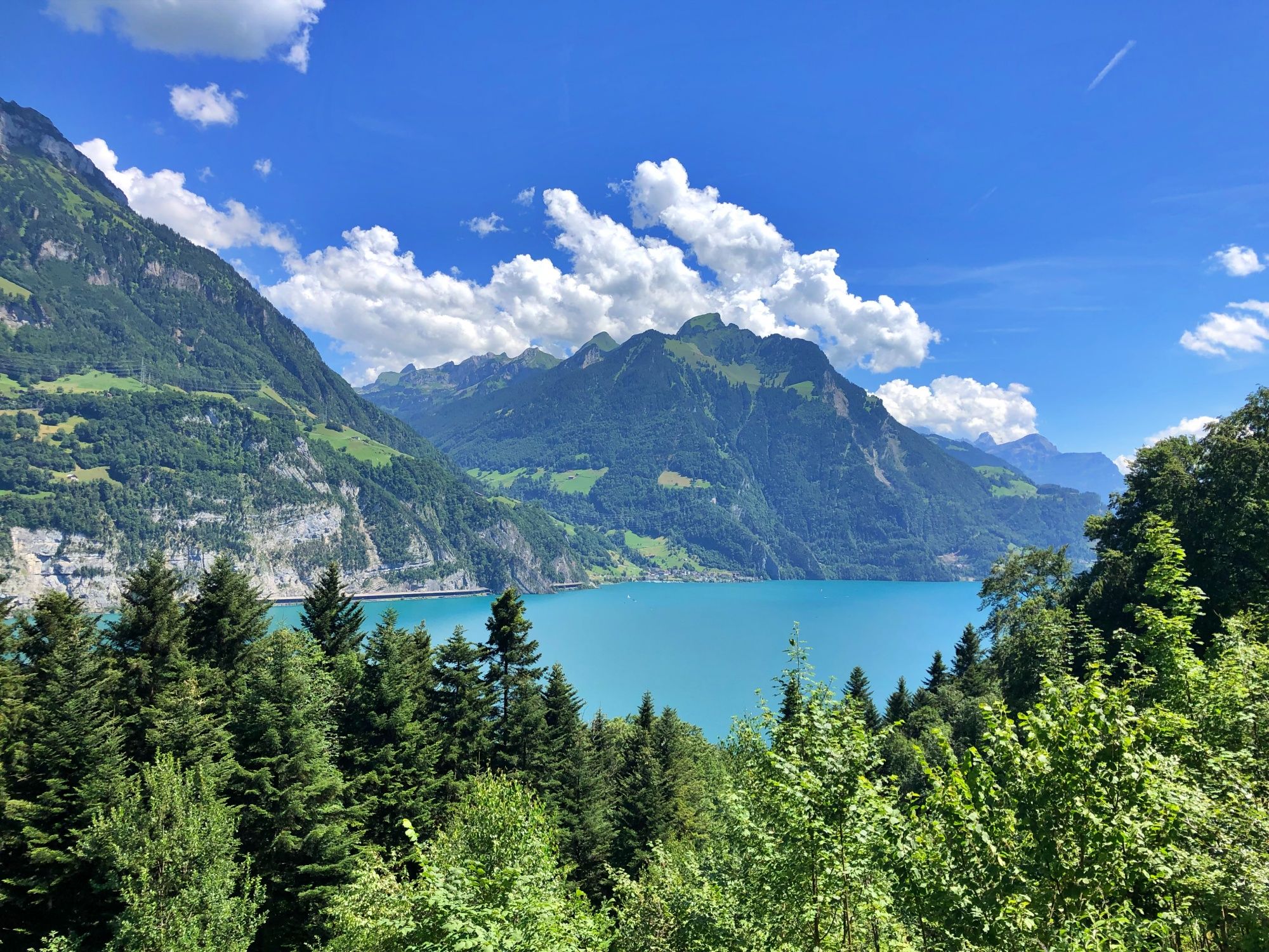رحلة: منظر على سيليسبرغ مع جبال خضراء ومياه صافية، مثالي لعشاق الطبيعة.