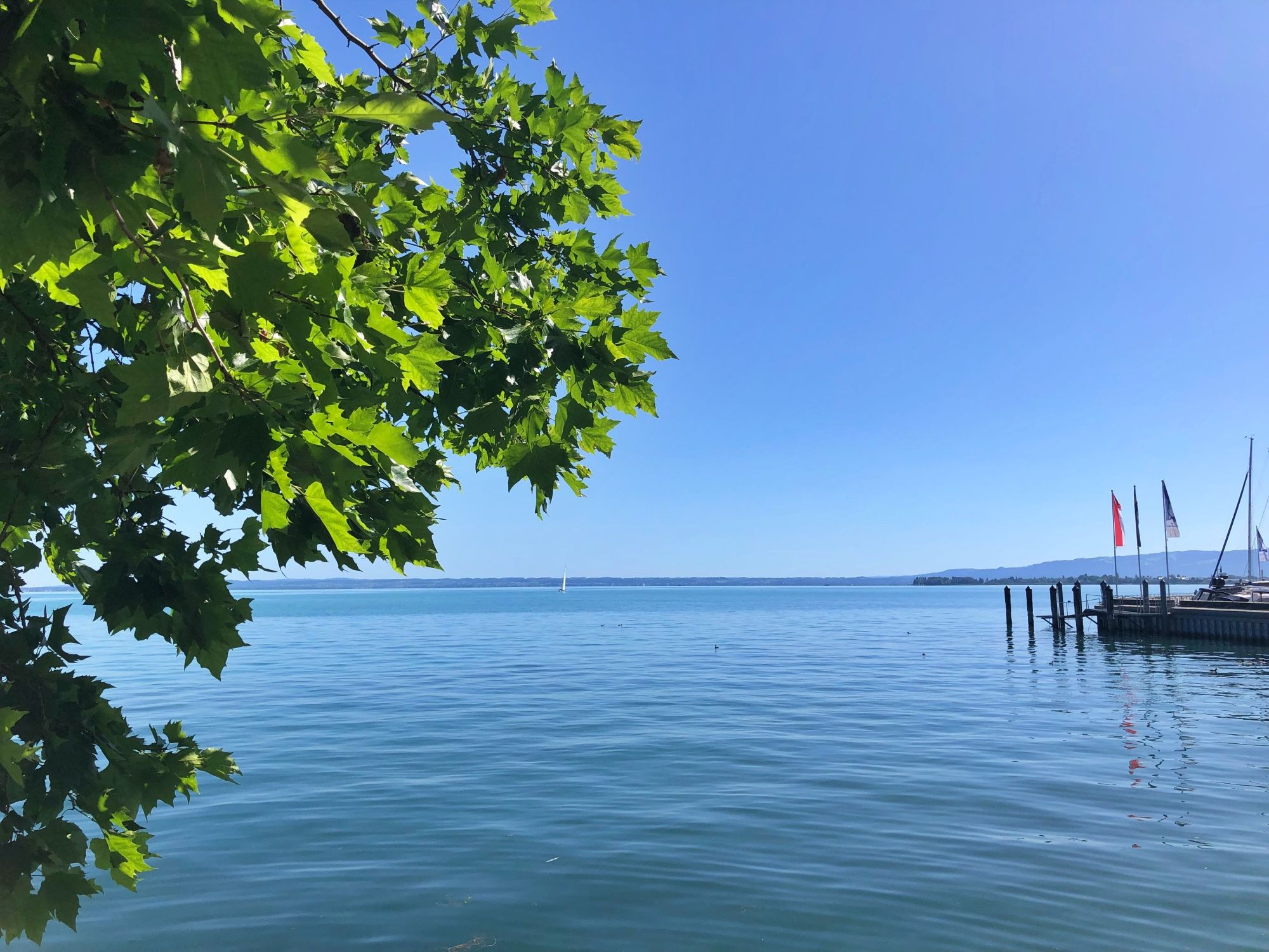 Lungolago del Bodensee: passeggiata tranquilla con vista sull'acqua, ideale per passeggiate e relax.