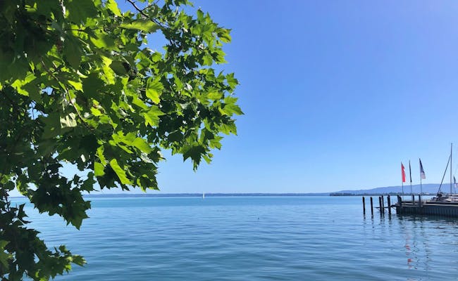 Lake Constance Shore: quiet promenade with a view of the water, ideal for walks and relaxation.