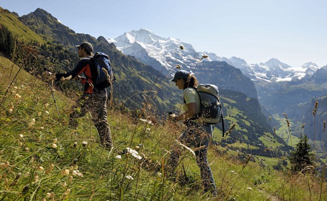 Grindelwald Wandern Gemsenweg Männlichen