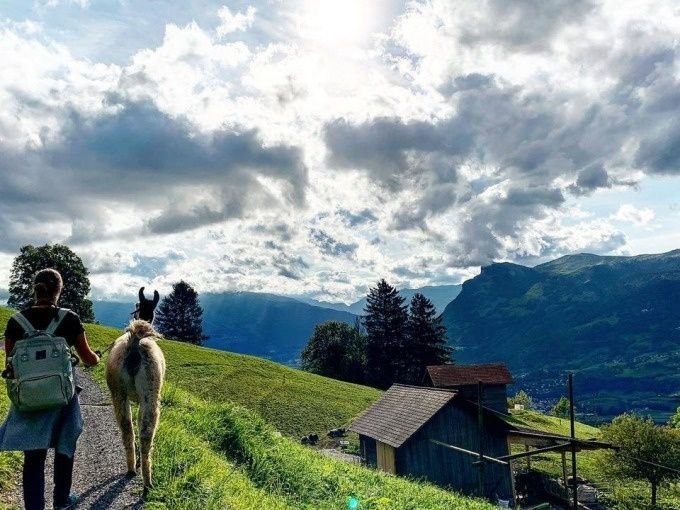 Trekking con Lama in Liechtenstein, paesaggio impressionante, escursione in montagna