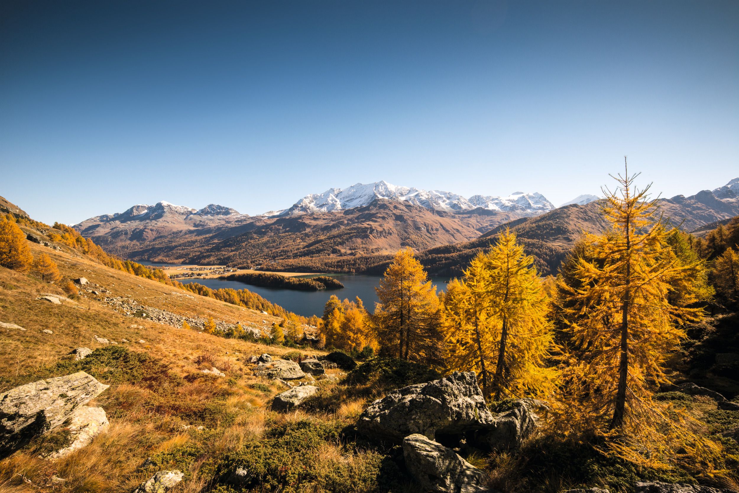 Engadin : paysage automnal époustouflant avec des mélèzes jaunes, des montagnes et un lac en arrière-plan.