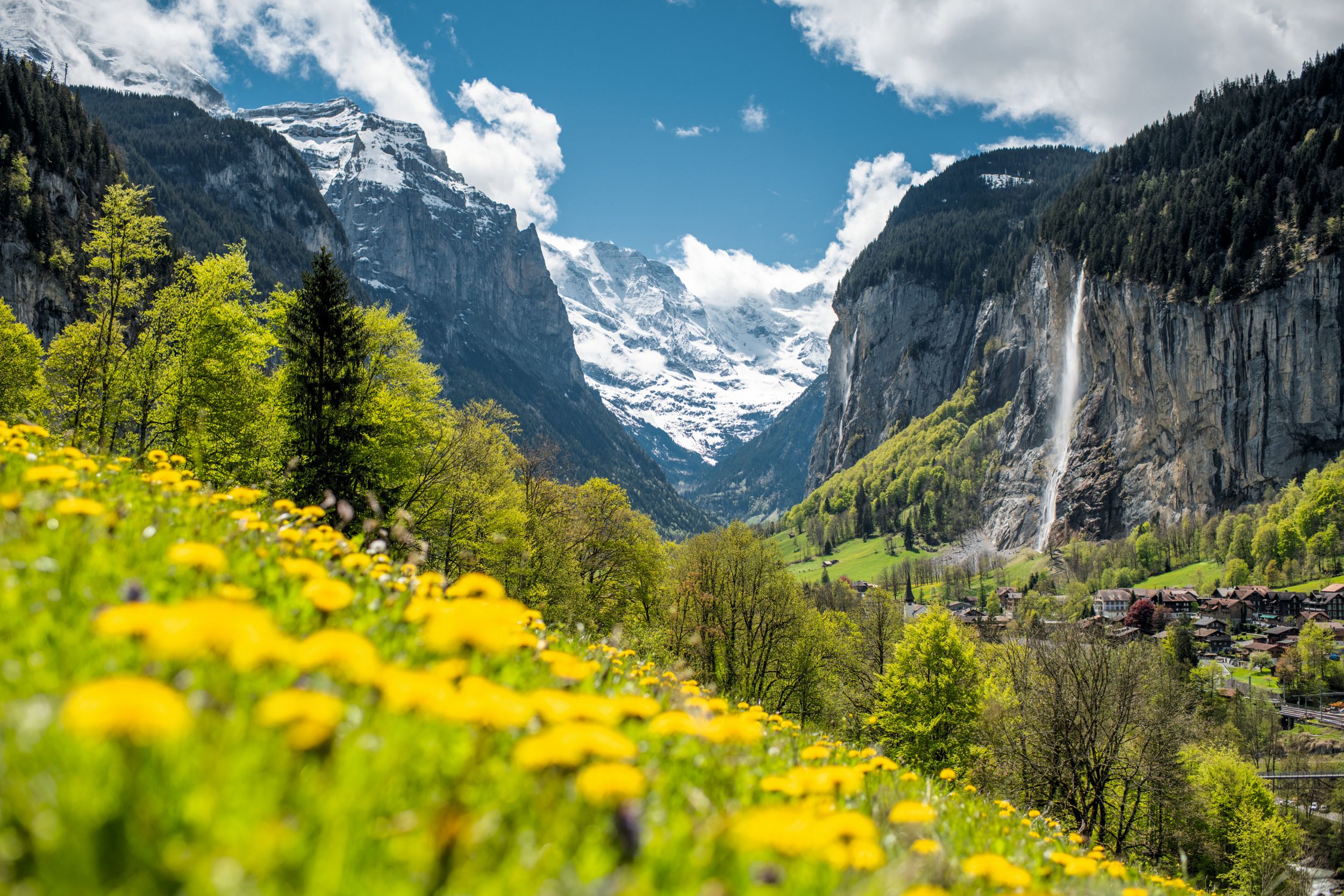 Lauterbrunnen : nature avec des prairies fleuries et des montagnes imposantes en été.