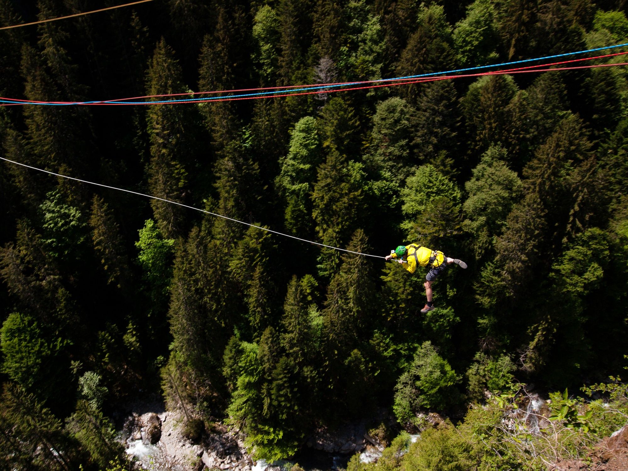 Canyon Swing: Balancearte entre los árboles en la naturaleza en verano, una aventura emocionante para todos.