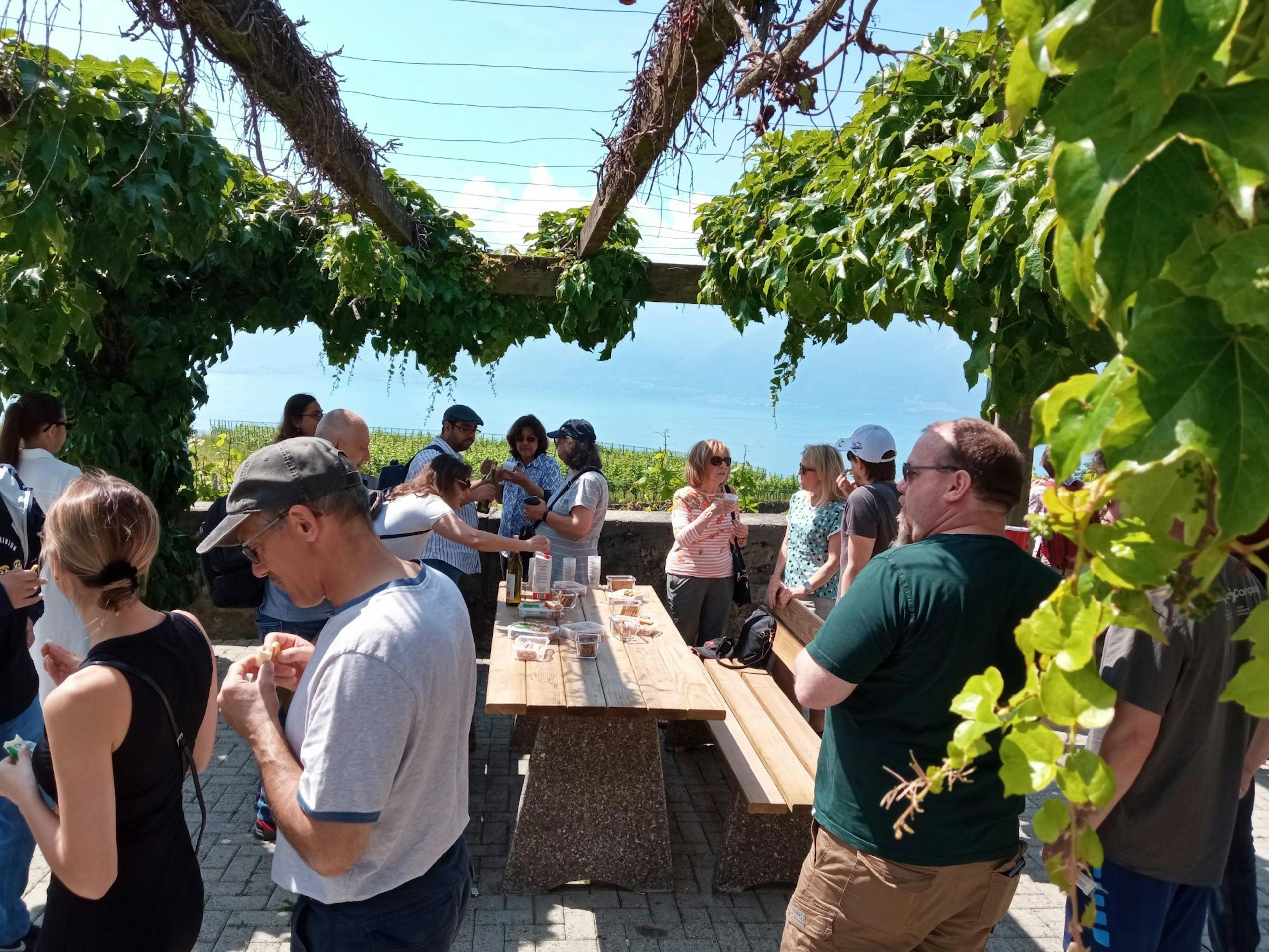 Weintour: Gruppen genießen den Blick auf den Genfersee und die Weinberge in Lavaux.