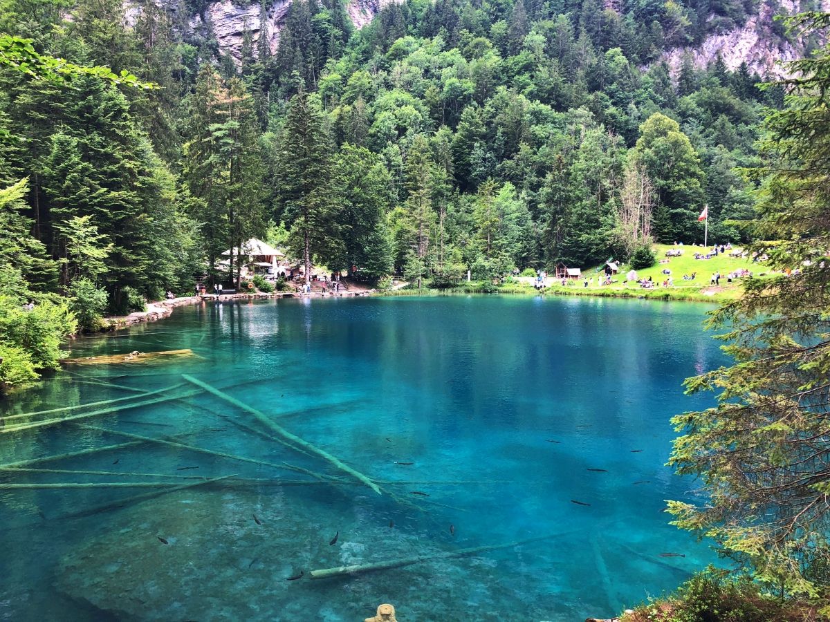 Blausee dans l'Oberland bernois : eau bleu clair, entourée de forêts et de montagnes. Idéal pour la détente et les amateurs de nature.