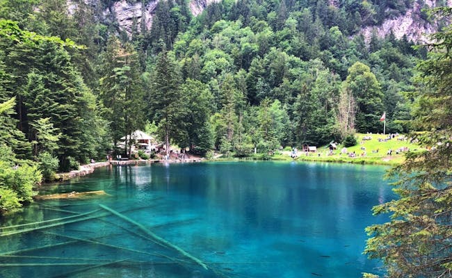Blausee en el Oberland bernés: agua azul clara, rodeada de bosques y montañas. Ideal para el descanso y los amantes de la naturaleza.