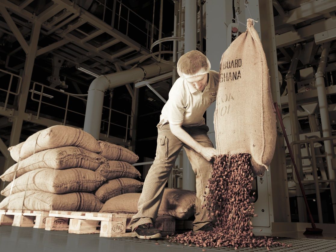 Какао-бобы: процесс производства шоколада в винодельческом регионе с качественными ингредиентами