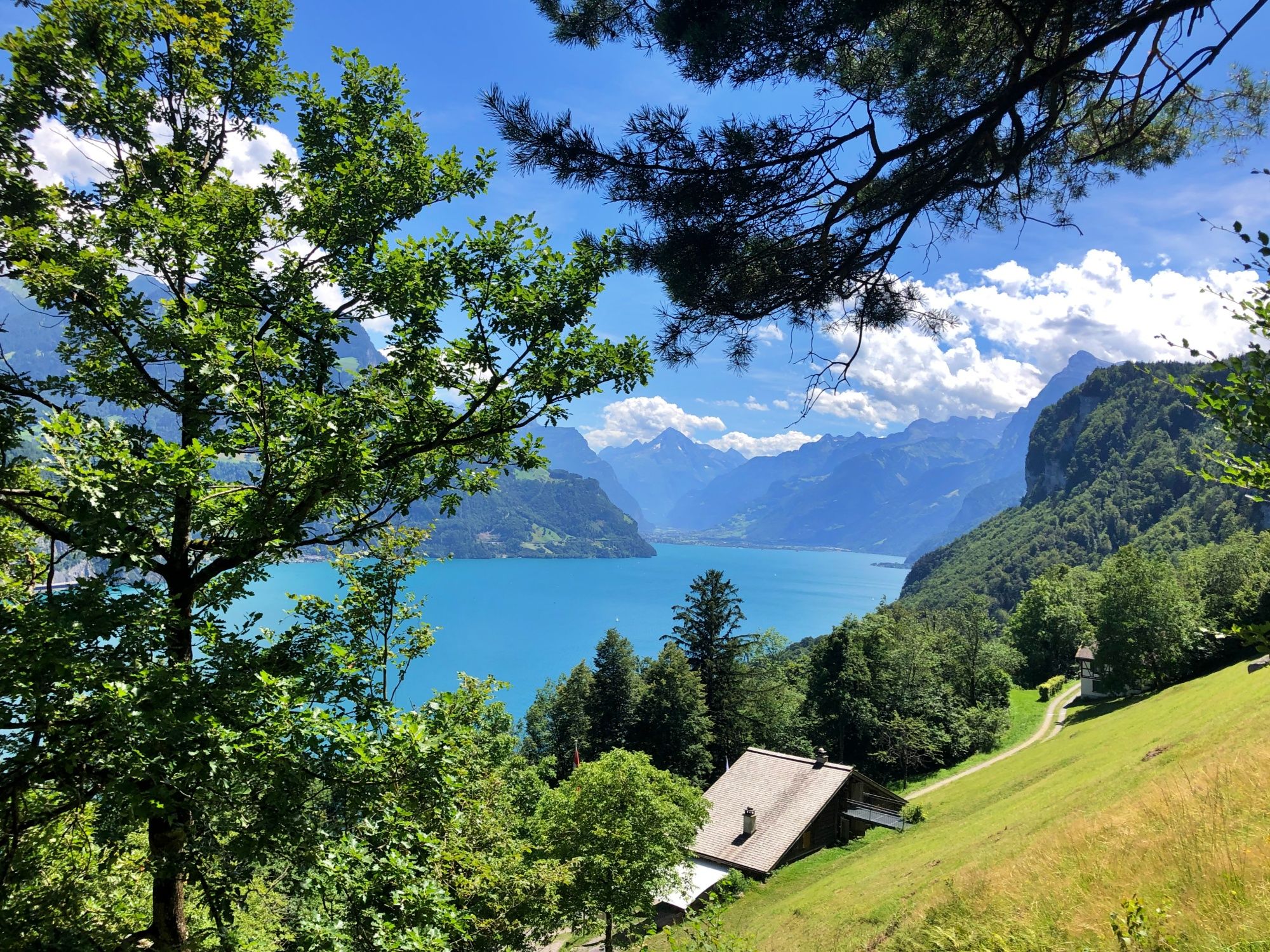 جولة مشي: منظر جميل على بحيرة فاخوالدشتاتر في سيليزبيرغ، محاطة بالجبال والطبيعة.