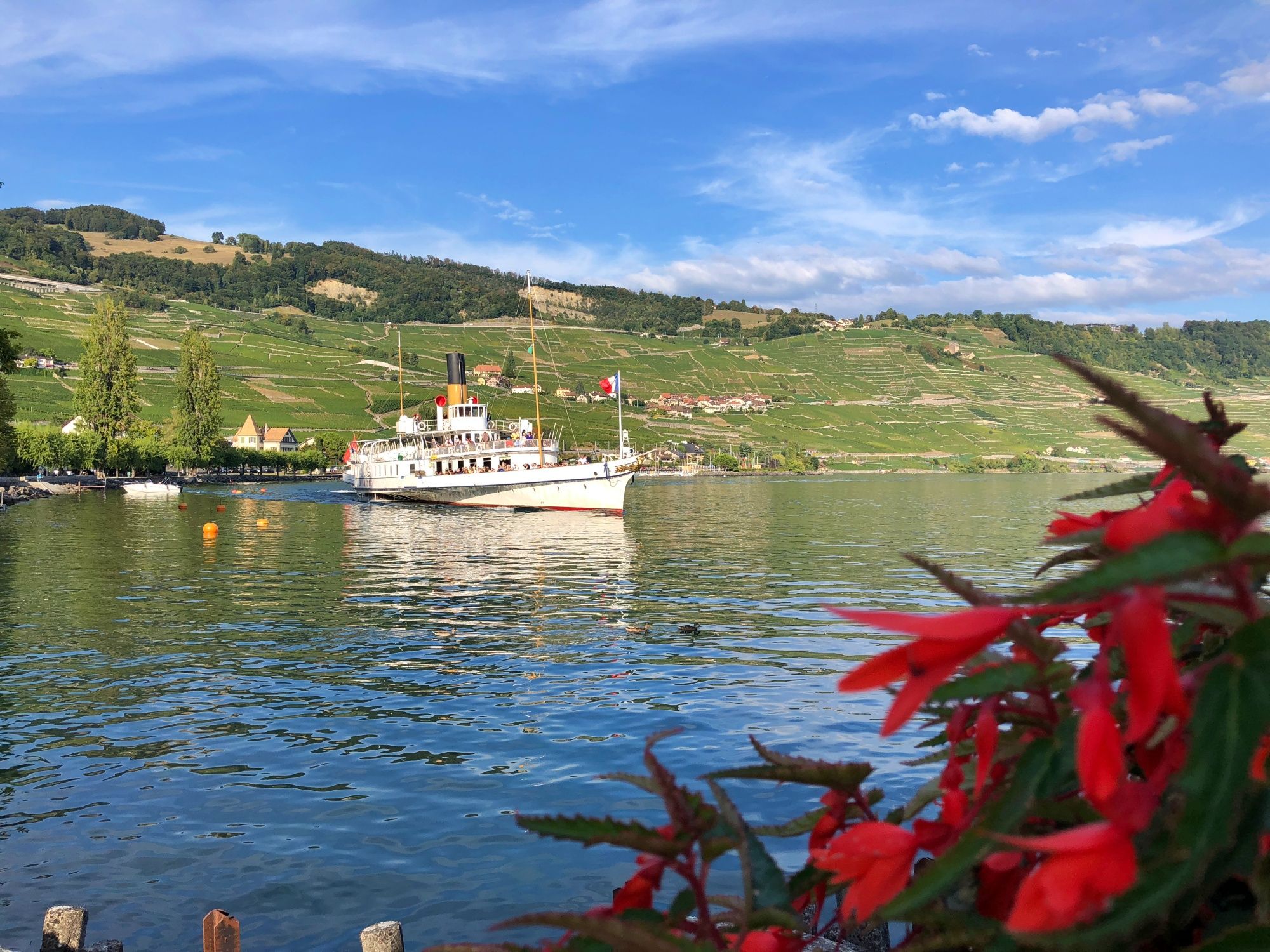 Schiff auf dem Genfersee mit Blick auf die gruenen Berge und blühenden Pflanzen.