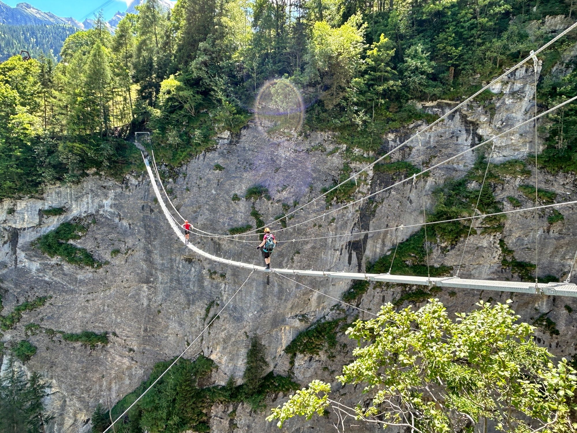 Via ferrata : pont népalais excitant à Mürren, entouré de montagnes impressionnantes et de nature verte.